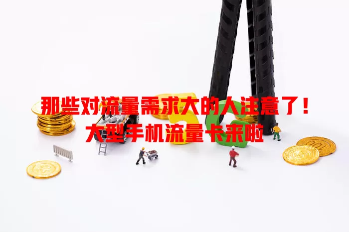 那些对流量需求大的人注意了！大型手机流量卡来啦