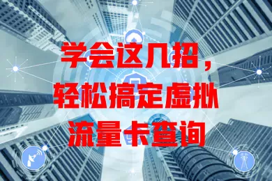 学会这几招，轻松搞定虚拟流量卡查询