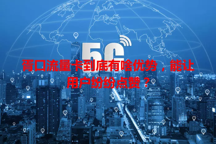 胥口流量卡到底有啥优势，能让用户纷纷点赞？