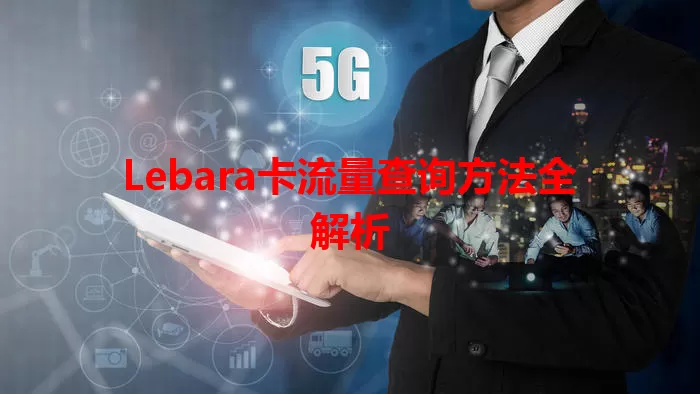 Lebara卡流量查询方法全解析