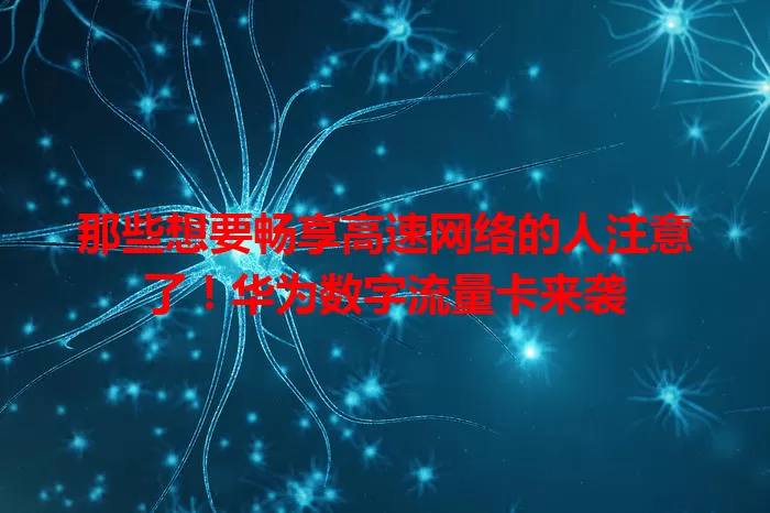那些想要畅享高速网络的人注意了！华为数字流量卡来袭
