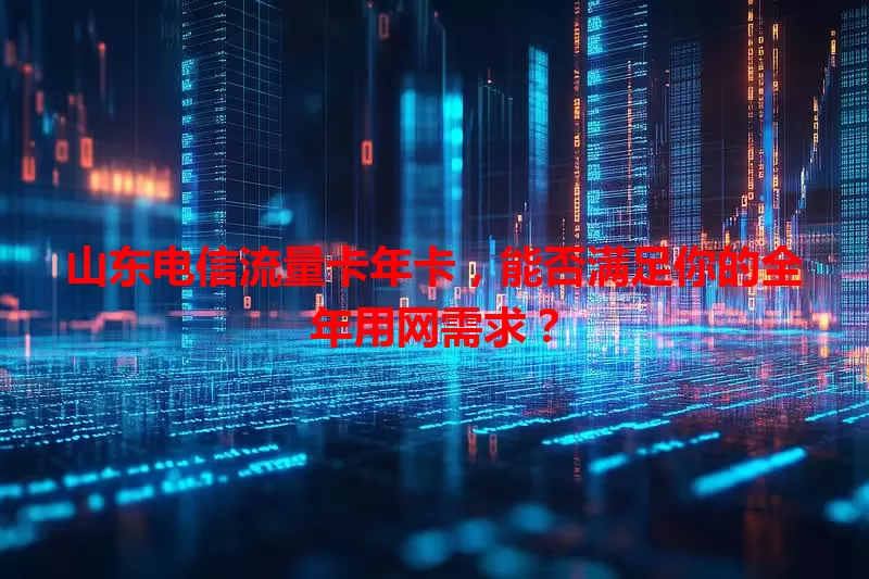 山东电信流量卡年卡，能否满足你的全年用网需求？