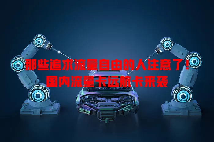 那些追求流量自由的人注意了！国内流量卡远航卡来袭