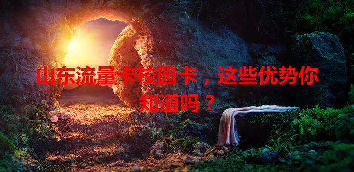 山东流量卡校园卡，这些优势你知道吗？