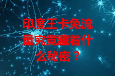 印度王卡免流量究竟藏着什么秘密?