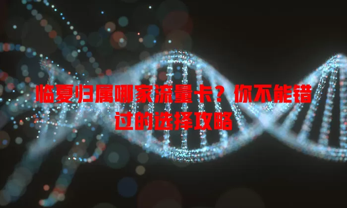 临夏归属哪家流量卡？你不能错过的选择攻略