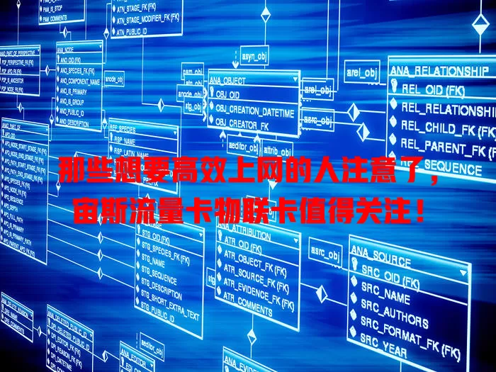 那些想要高效上网的人注意了，宙斯流量卡物联卡值得关注！