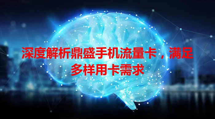深度解析鼎盛手机流量卡，满足多样用卡需求