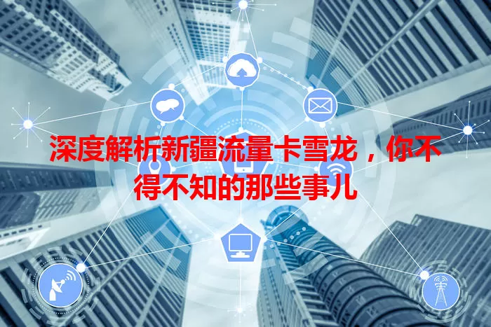 深度解析新疆流量卡雪龙，你不得不知的那些事儿
