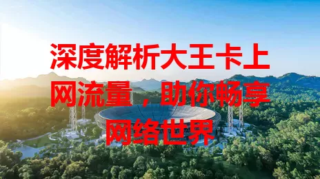 深度解析大王卡上网流量，助你畅享网络世界