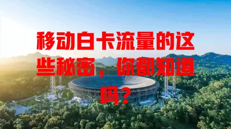 移动白卡流量的这些秘密，你都知道吗？
