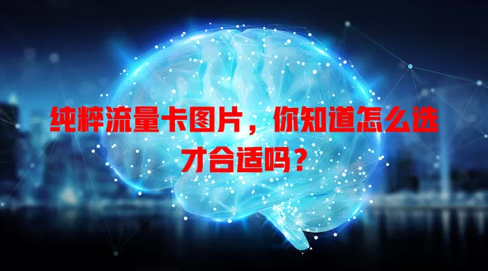 纯粹流量卡图片，你知道怎么选才合适吗？