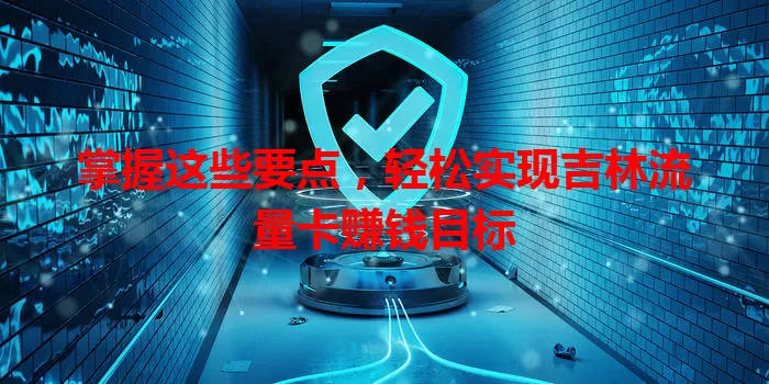 掌握这些要点，轻松实现吉林流量卡赚钱目标
