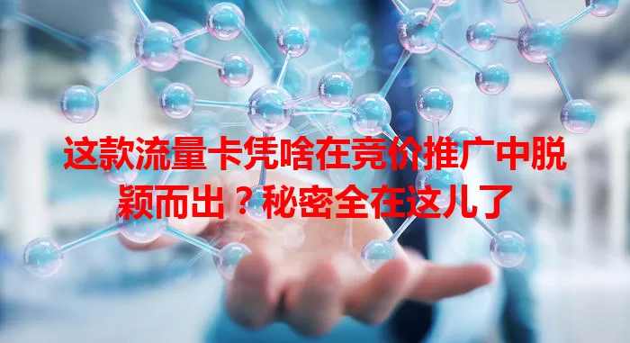 这款流量卡凭啥在竞价推广中脱颖而出？秘密全在这儿了