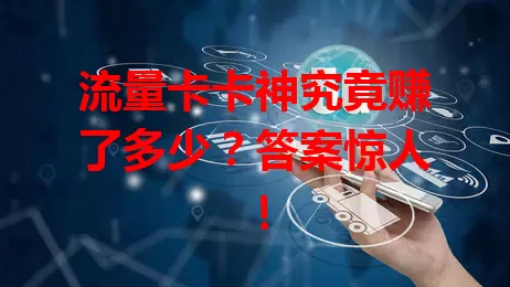 流量卡卡神究竟赚了多少？答案惊人！