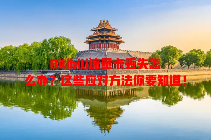 Bilibili流量卡丢失怎么办？这些应对方法你要知道！