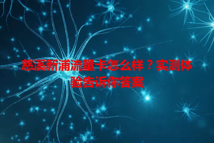 慈溪新浦流量卡怎么样？实测体验告诉你答案