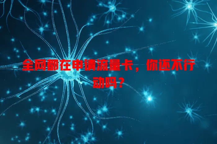 全网都在申请流量卡，你还不行动吗？