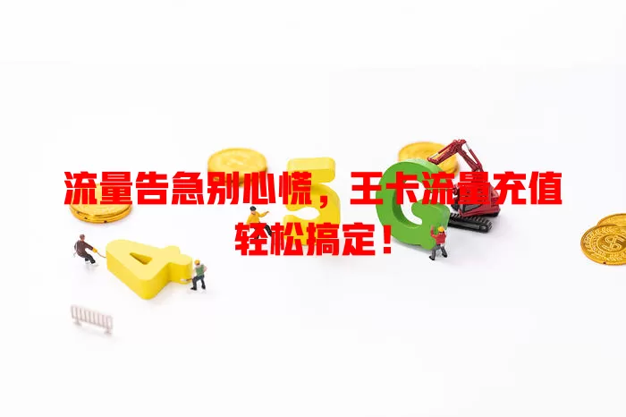 流量告急别心慌，王卡流量充值轻松搞定！