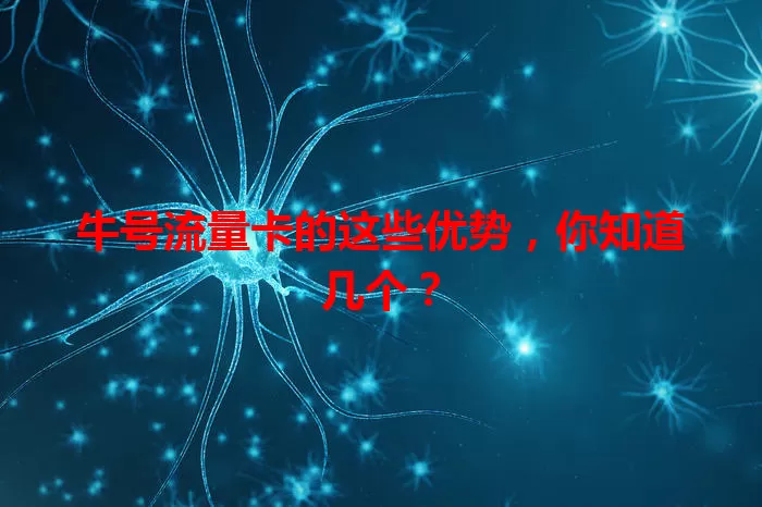 牛号流量卡的这些优势，你知道几个？