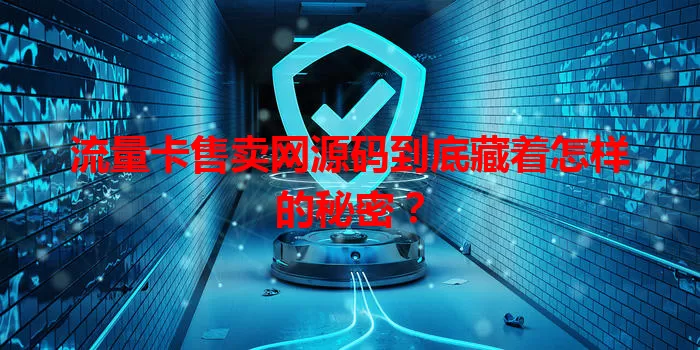 流量卡售卖网源码到底藏着怎样的秘密？