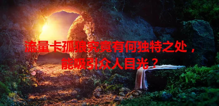 流量卡孤狼究竟有何独特之处，能吸引众人目光？