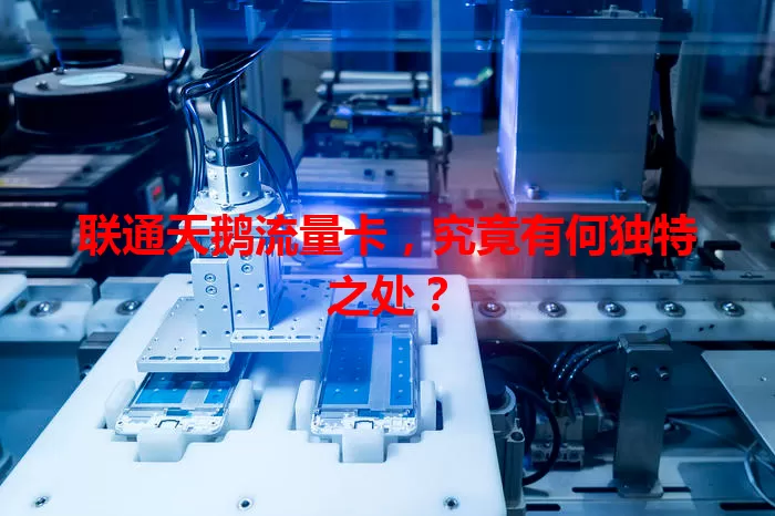 联通天鹅流量卡，究竟有何独特之处？