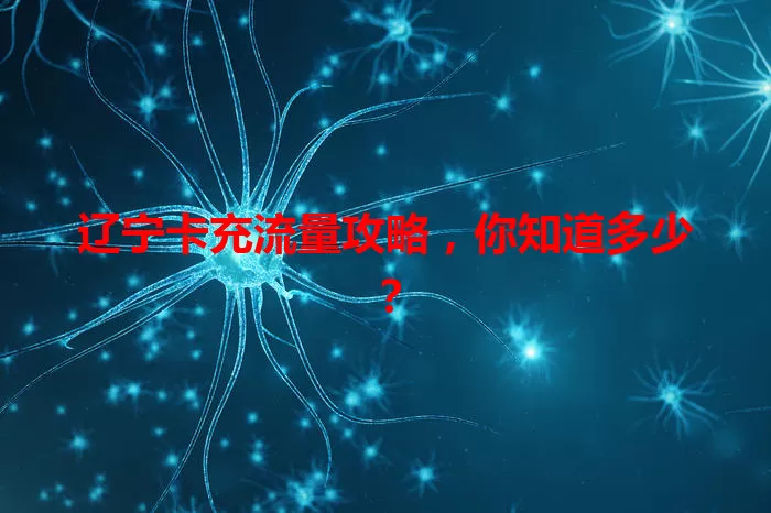 辽宁卡充流量攻略，你知道多少？