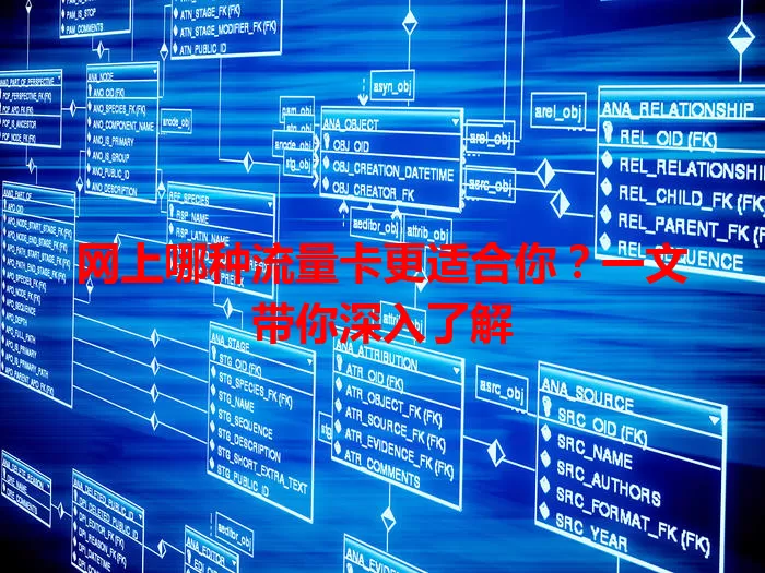网上哪种流量卡更适合你?一文带你深入了解