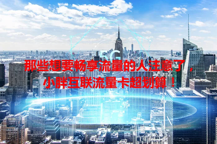 那些想要畅享流量的人注意了，小胖互联流量卡超划算！