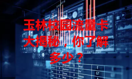 玉林校园流量卡大揭秘，你了解多少？