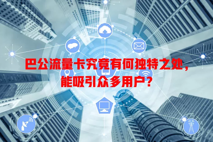 巴公流量卡究竟有何独特之处，能吸引众多用户？