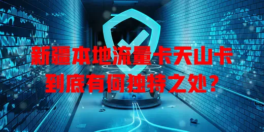 新疆本地流量卡天山卡到底有何独特之处？