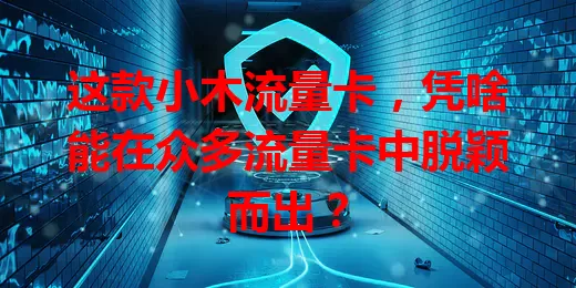 这款小木流量卡，凭啥能在众多流量卡中脱颖而出？