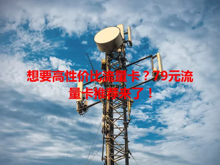 想要高性价比流量卡？79元流量卡推荐来了！