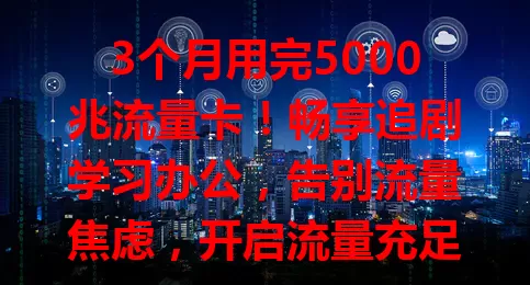 3个月用完5000兆流量卡！畅享追剧学习办公，告别流量焦虑，开启流量充足新时代