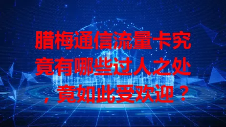腊梅通信流量卡究竟有哪些过人之处，竟如此受欢迎？
