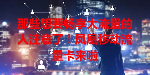那些想要畅享大流量的人注意了！凤凰移动流量卡来啦