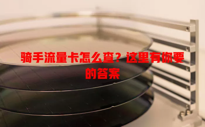 骑手流量卡怎么查？这里有你要的答案