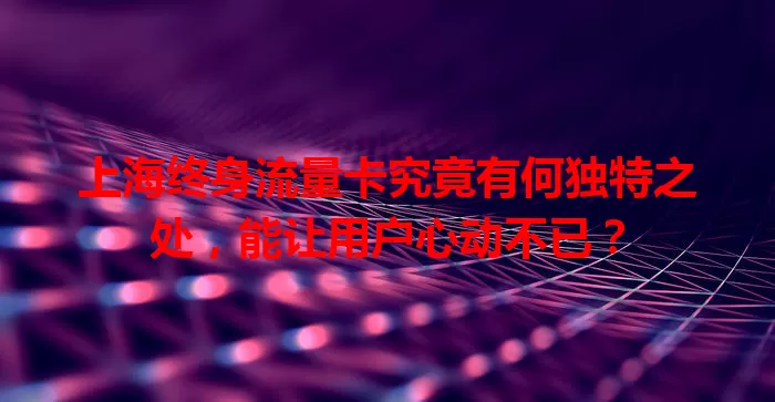 上海终身流量卡究竟有何独特之处，能让用户心动不已？
