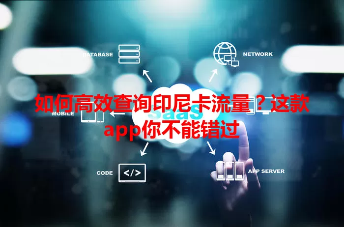 如何高效查询印尼卡流量？这款app你不能错过