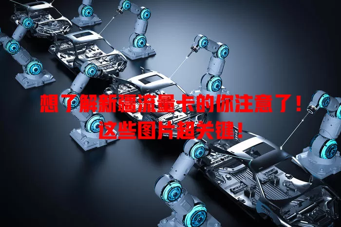 想了解新疆流量卡的你注意了！这些图片超关键！