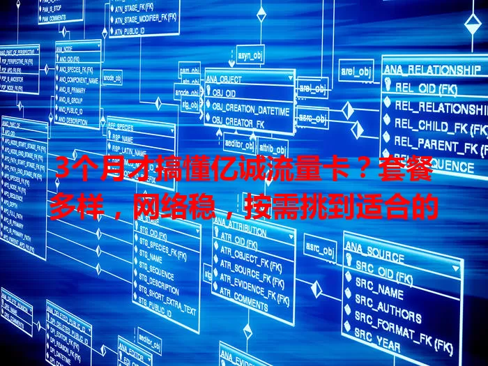 3个月才搞懂亿诚流量卡？套餐多样，网络稳，按需挑到适合的