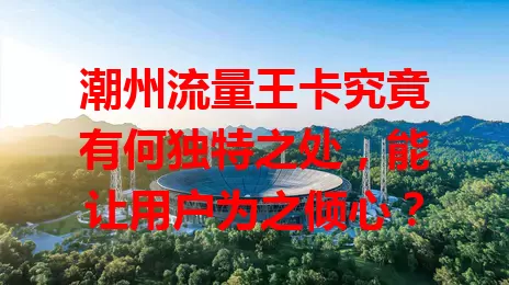 潮州流量王卡究竟有何独特之处，能让用户为之倾心？