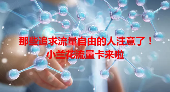 那些追求流量自由的人注意了！小兰花流量卡来啦