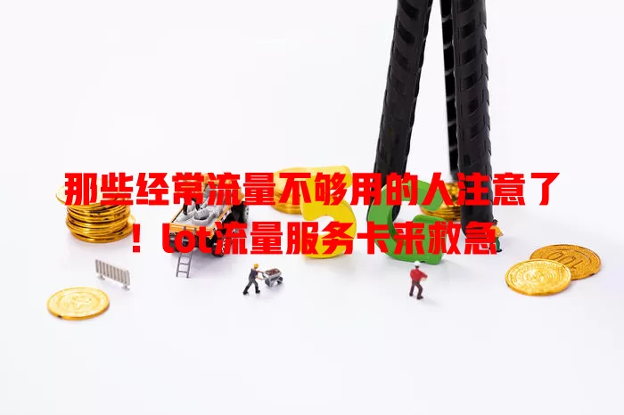 那些经常流量不够用的人注意了！lot流量服务卡来救急