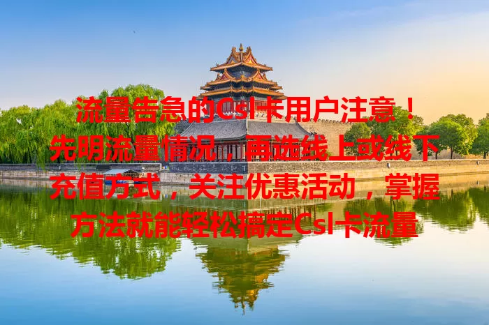 流量告急的Csl卡用户注意！先明流量情况，再选线上或线下充值方式，关注优惠活动，掌握方法就能轻松搞定Csl卡流量充值！