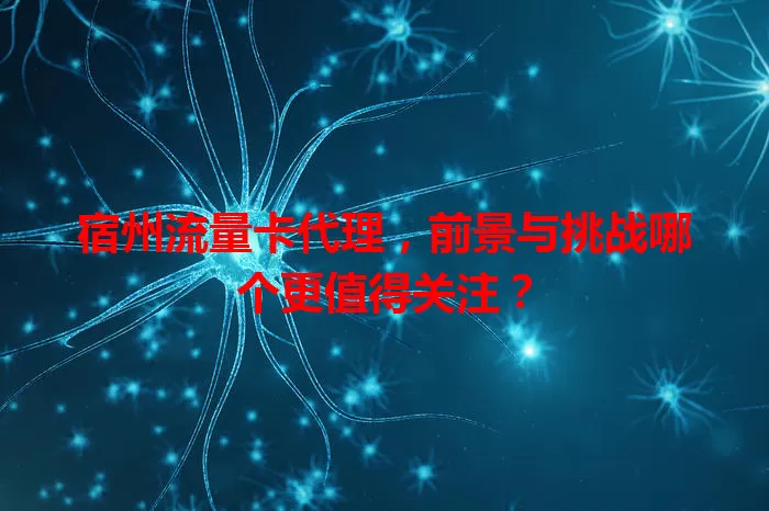 宿州流量卡代理，前景与挑战哪个更值得关注？