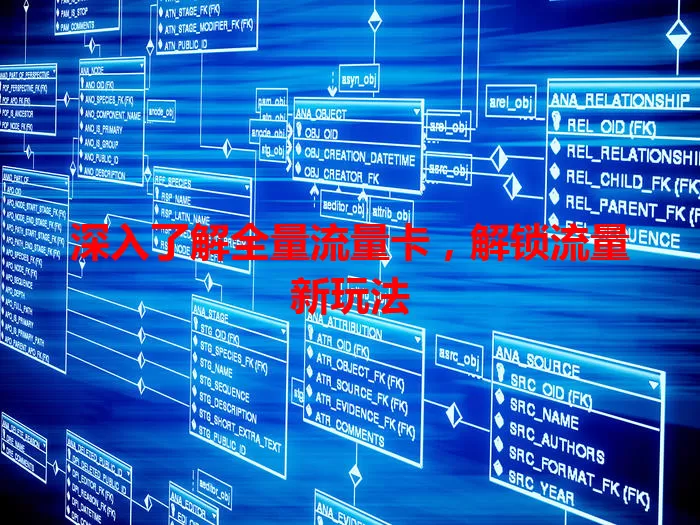 深入了解全量流量卡，解锁流量新玩法