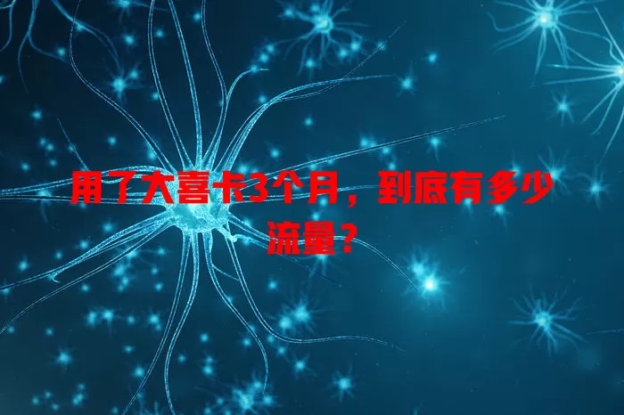 用了大喜卡3个月，到底有多少流量？
